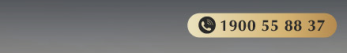 Hotline 1900 55 88 37